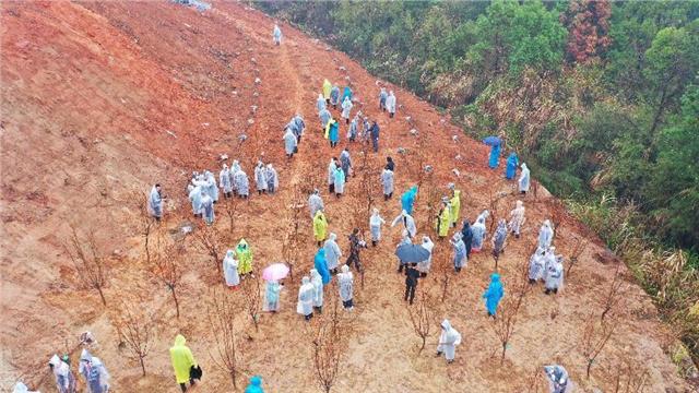 龙宇翔出席“美丽中国，步步有树”大型公益活动启动仪式