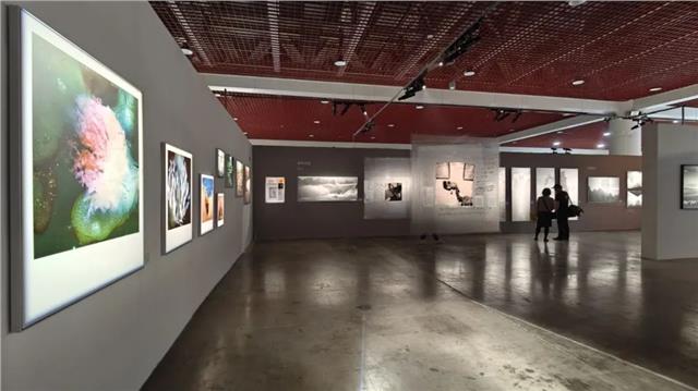 ″希望的田野″吉林省农民摄影作品展在第十四届中国摄影艺术节精彩绽放！