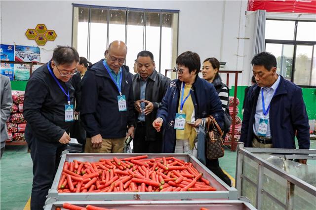 陕西大荔县获评“中国生态食材、美食地标之都”生态产品区域公用品牌