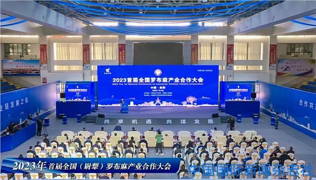 罗布麻花开香飘万里——首届全国罗布麻产业合作大会在尉犁县召开
