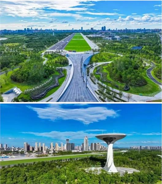 草色青青 跃入春风 2025合肥骆岗半程马拉松赛事发布会召开