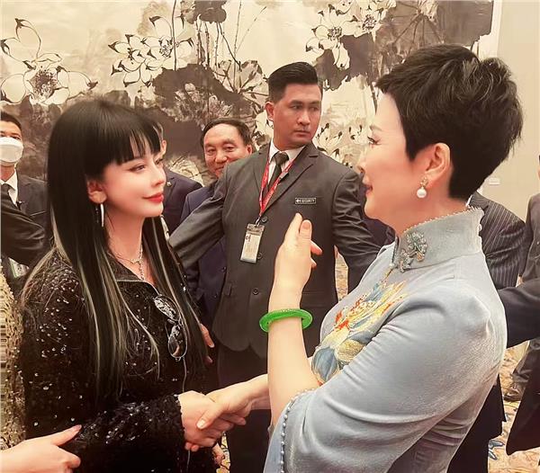 李小琳主席澳门活动盛大启幕，中国国际新闻杂志社副社长、爱国港星张羽希惊艳亮相