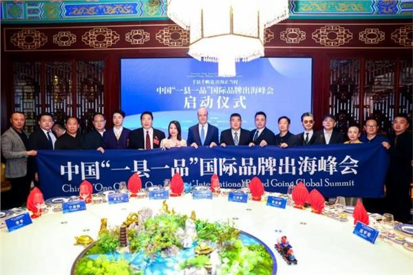 康新云受邀出席瑞典前首相暨中国企业品牌出海见面