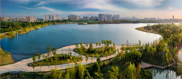 2025合肥市端午龙舟赛 “金蛇献瑞  龙舞九州”2025年全国龙舟大联动