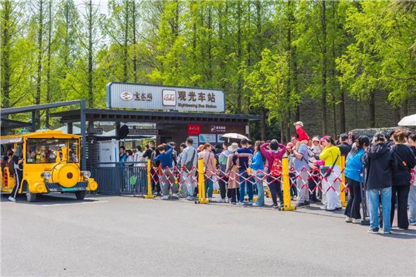 场景力·新动能：焕发景区无限可能——基于景区场景焕新示范工作调研的思考