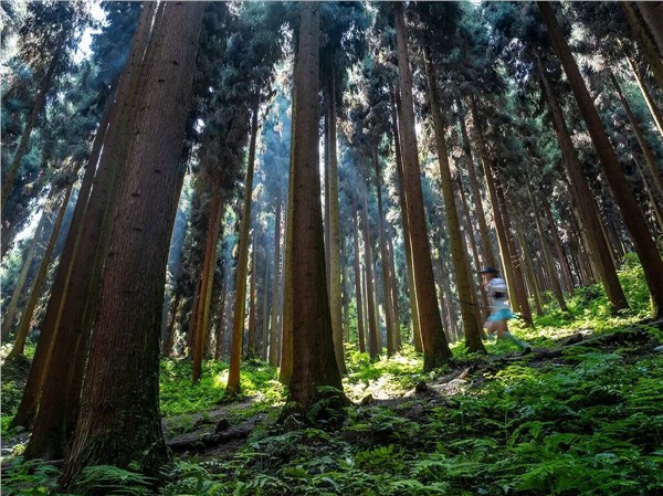 _IBK_3.jpg 成都彭州市“彭派生活方式”从“旅游目的地”到“生活目的地”的转型路径探析