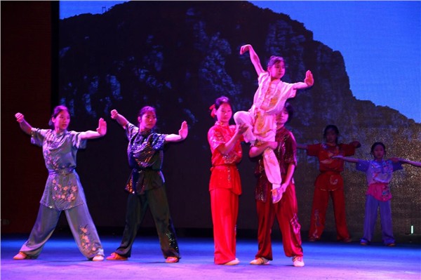 省市领导及专家学者一行莅临少林小龙武校调研指导工作