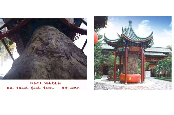 _IBK_图片7.png 全球(纽约)收藏家名誉会长、中国国际新闻杂志社专家委员会副主席、中国神牛集团总裁张书菡阐述红木文化艺术