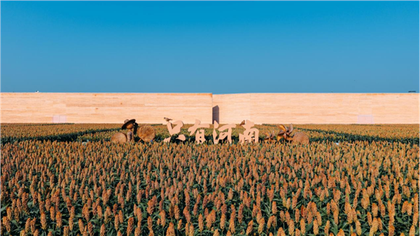 陈献春：运用旅游场景工程学，培育复合型场景架构师