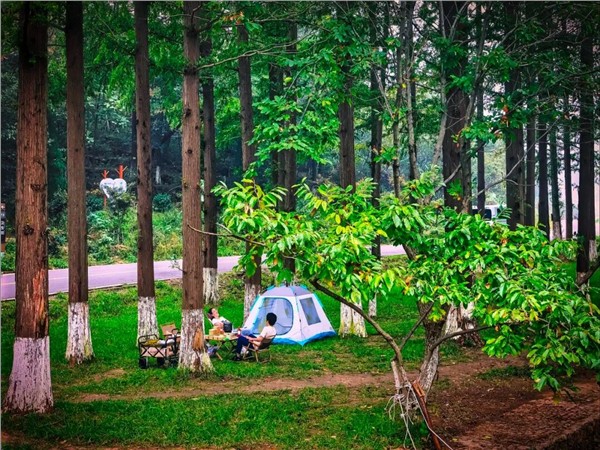 _IBK_2.jpg 加快培养和构建以“生活策展人”和“场景架构师”为核心的场景创新人才体系