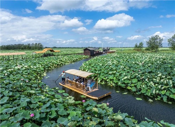 陈献春：“小而美”文旅业态发展政策引领乡村文旅发展逻辑根本性转向