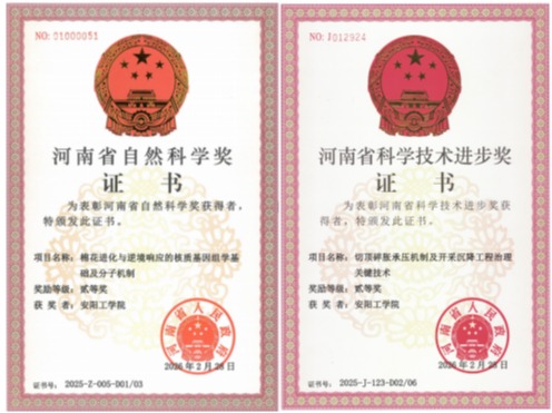 安阳工学院获两项河南省科学技术奖二等奖