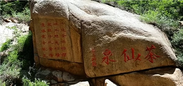 探访少室山 感悟茶仙泉