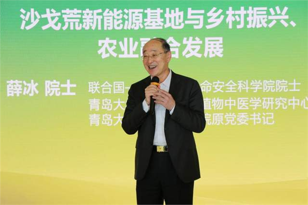 _IBK_图片10.png 黄沙褪去绿意起 沙戈荒变身能源金山——新疆麦盖提沙戈荒特大型新能源基地项目推介会在京隆重举行