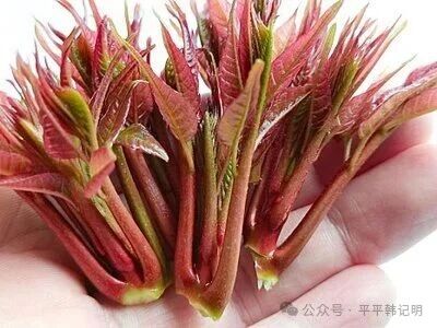 _IBK_1.jpg 韩记明:春日有感