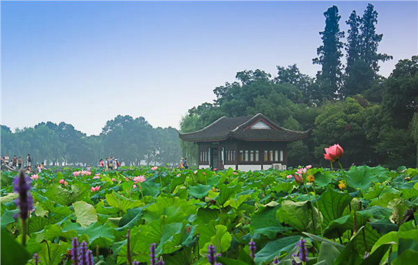 陈献春：场景创新实验室的场景创新方法论