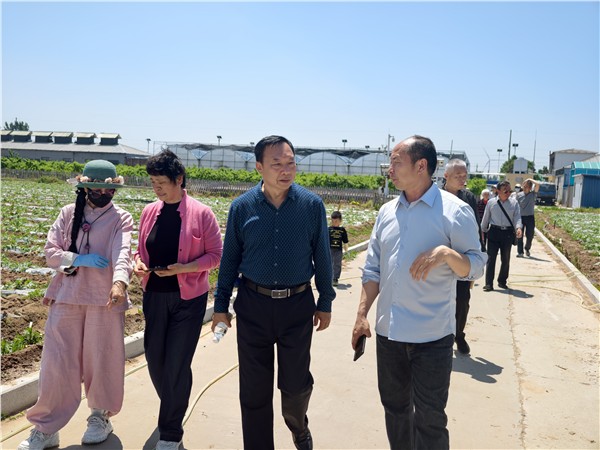 调研赋能促发展 农文旅融合谱新篇——安阳市企联专家走进河南麦多生态农业科技有限公司