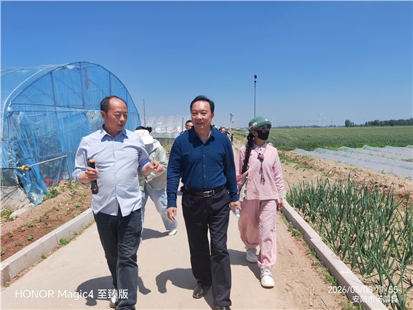 调研赋能促发展 农文旅融合谱新篇——安阳市企联专家走进河南麦多生态农业科技有限公司