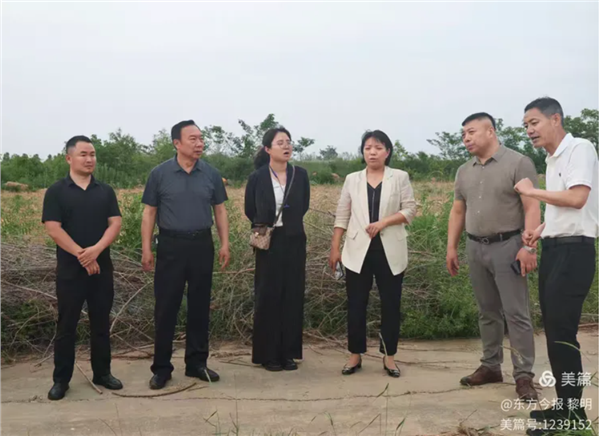 聚力项目精准对接 赋能文旅教育融合——英语文化学村项目赴汤阴湿地公园考察调研