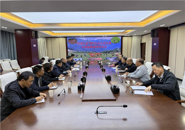 品牌赋能道地药材 甘肃临潭擦亮生态当归名片 激活“两山转化”新动能