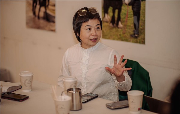 爱尔兰-中国文化艺术节筹备会碰撞交流·核心亮点与人文纪实